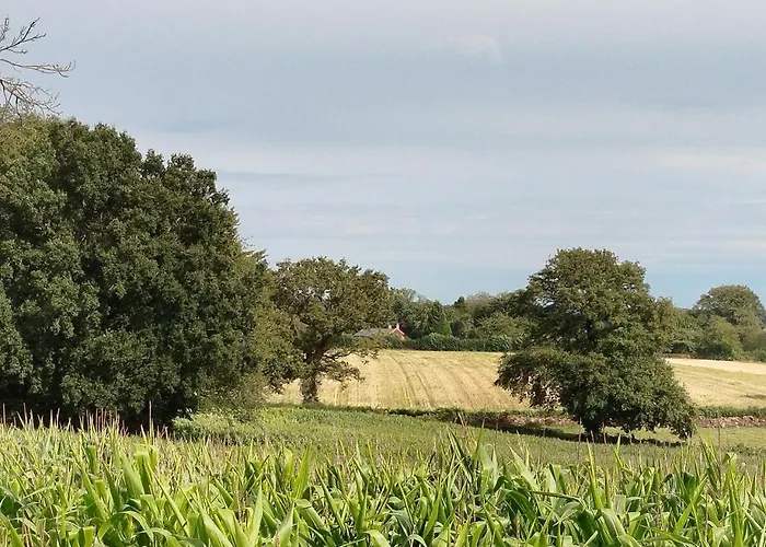 Gite Traitsanes En Berry Centre Val De Loire